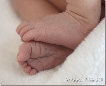 teddy macro feet