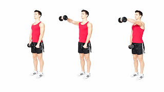 5 best shoulder exercises for beginners in gym(part 2) - fitness club