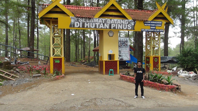 Hutan Pinus Malino