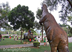 DSC_0167new