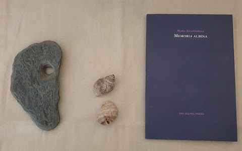 «Memoria albina», de María Alcantarilla (Editorial Pre-textos)