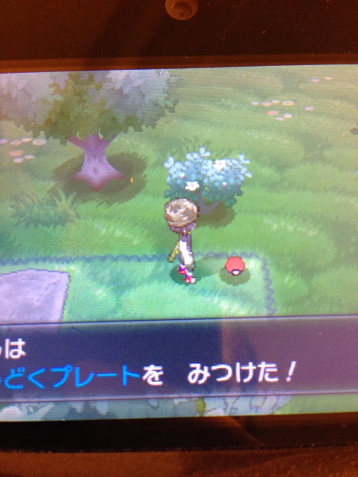 ポケモン サン ムーンの方法のやり方 ポケモンxy もうどくプレート のばしょ ポケモン サン ムーンの方法のやり方 ポケモンxy もうどくプレート のばしょ