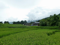 sapa vietnam cosa fare e vedere