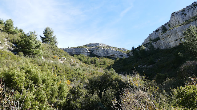 Le vallon des Piches