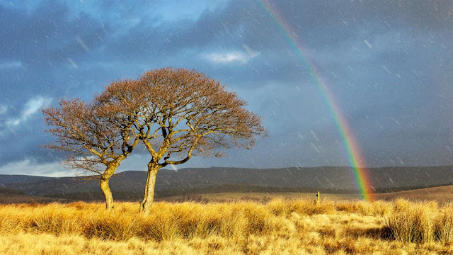 Nature of the 2016 Weather Photographer of the Year Contest Announced