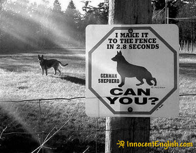 funny-sign-warning-dog.jpg