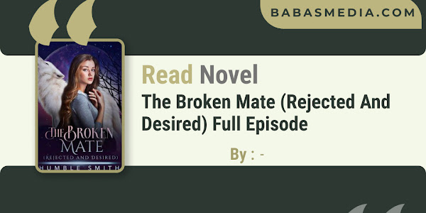 Read The Broken Mate (Rejected And Desired) Novel / Synopsis