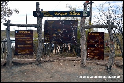 bosque-Telteca