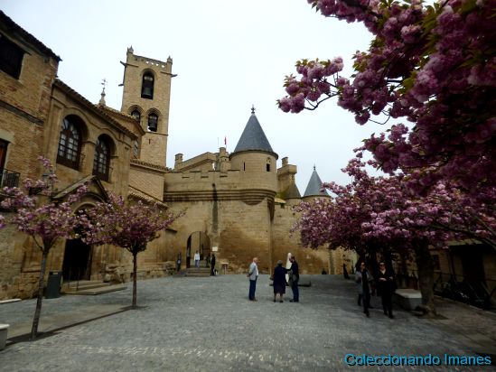 entrada al Palacio de Olite - Castillo de Olite - 