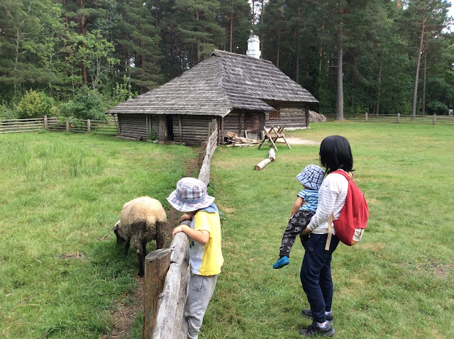 エストニア野外博物館（Estonian Open Air Museum）の小学校跡