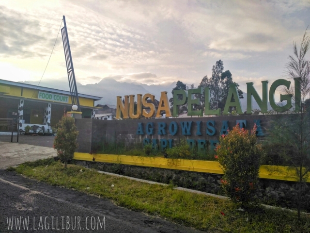 Nusa Pelangi, Agrowisata Sapi Perah
