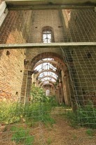 IMG_7748