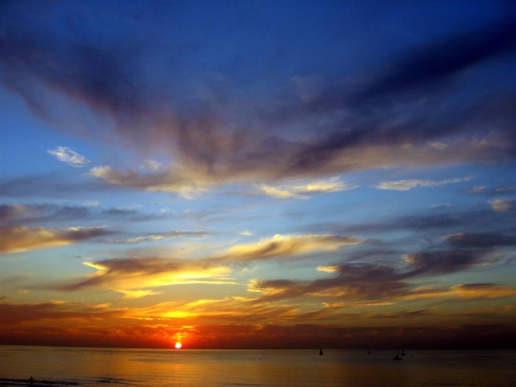 Beach Landscape