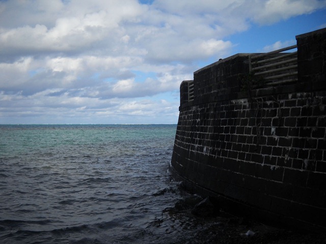 DSCN7169
