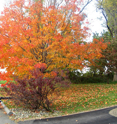 Autumn in the Valley