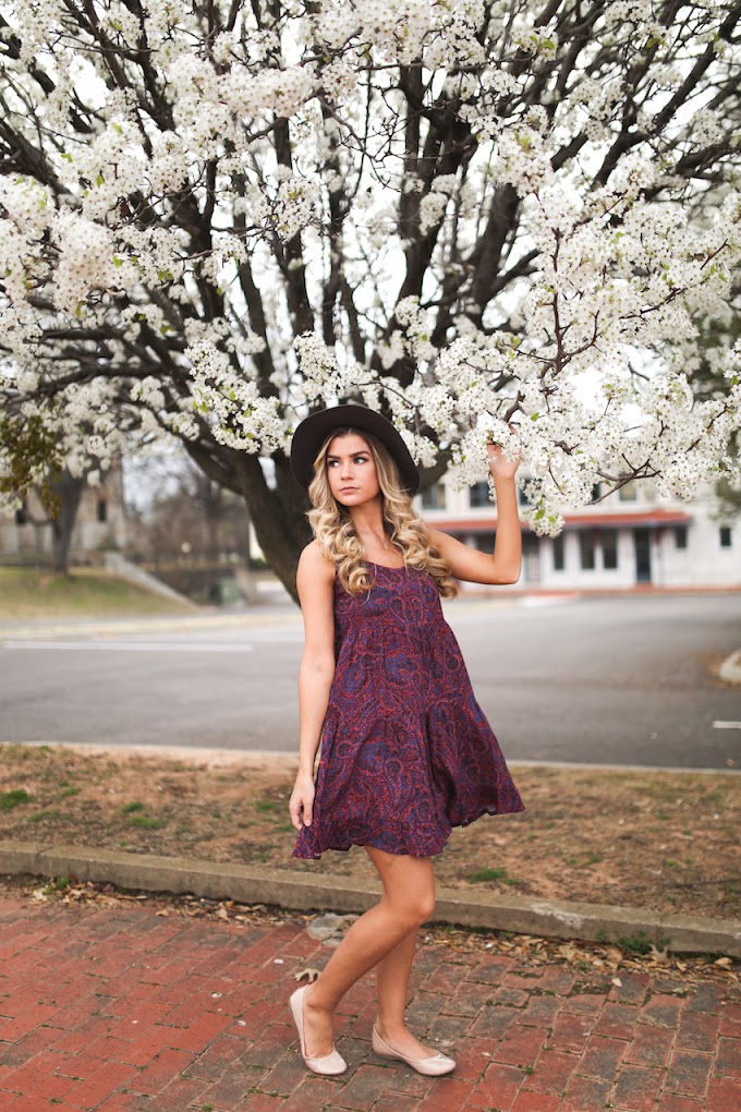 Spring Blossoms