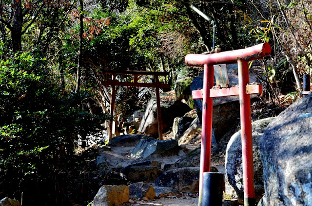 torii in saijo inari - 鳥居の最上稲荷神社