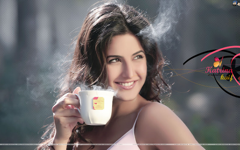 katrina kaif new wallpapers. Enjoy these New Hot Katrina