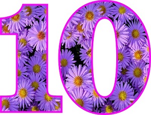 numero 10 con flores blancas adentro con orilla rosada