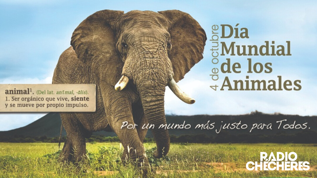4 de octubre, Día Mundial de los animales