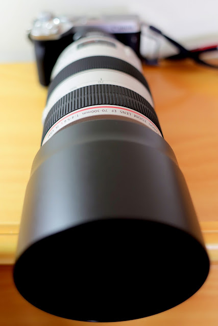 Canon EF70-300mm f/4-5.6L IS USM胖白 開箱