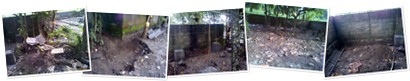View album