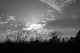 Norfolk countryside landscape photographs 2015