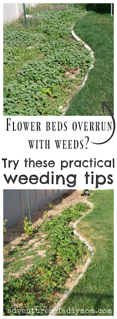 practical weeding tips collage