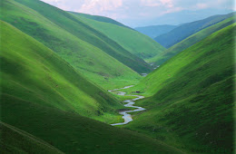 Navigating the Realms of Thinking & Faith