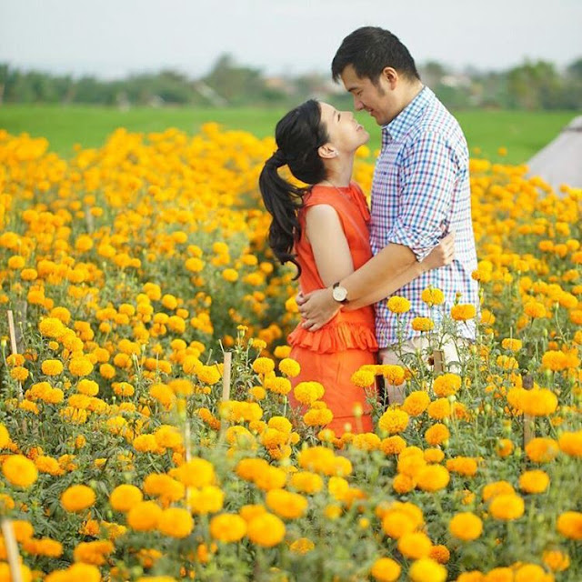 Ladang Bunga Marigold adalah Tempat Romantis di Bali
