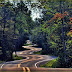 Gorgeous Examples of Road Photography