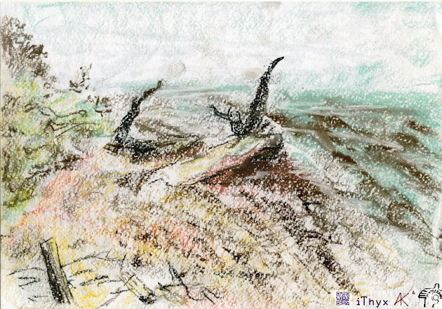 рисунок пастелью коряг на берегу Байкала. Рисунок сделан художником iThyx