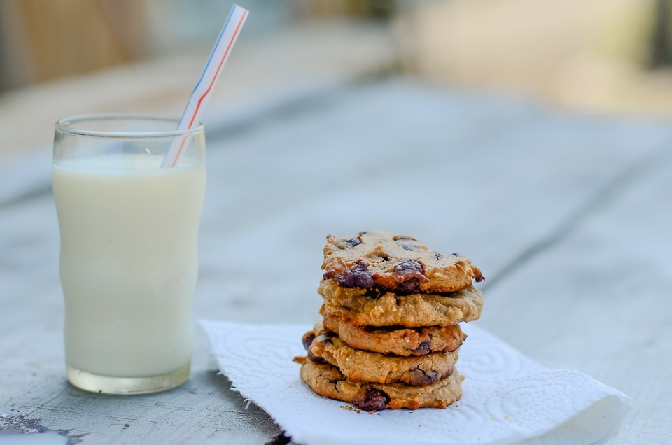 chickpea chocolate chip-14703