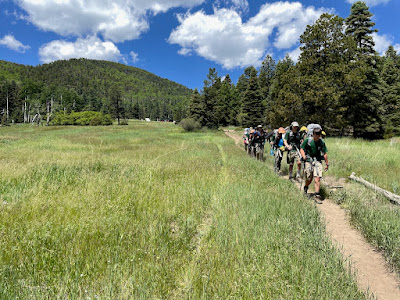 Group of boy scouts backpacking on a trail