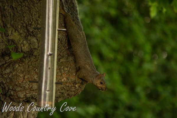 AUGUST 2015 (75 of 75)