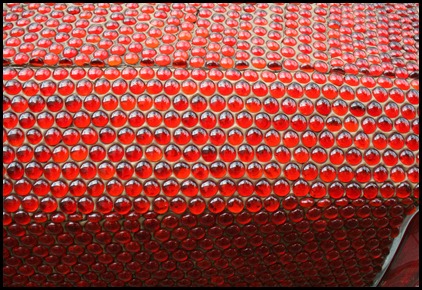 IMG_1579