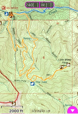 Hiking to Little Water Peak, Millcreek Canyon, Hiking in Utah with Dogs