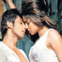 Priyanka Chopra, Shahid Kapoor, Bollywood, Bollywood actor, Bollywood actress, bollywood news, Bollywood star