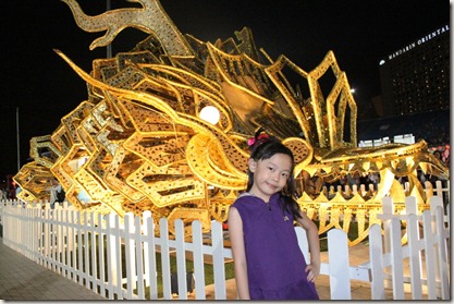 aIMG_0483