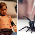 10 year old boy bitten by world's deadliest spider in Australia, makes incredible recovery. 