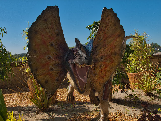 jiemve, le temps d'une pose, Franche-Comté, Pays de Montbéliard, Montbéliard, château de Wurtemberg, dinosaures