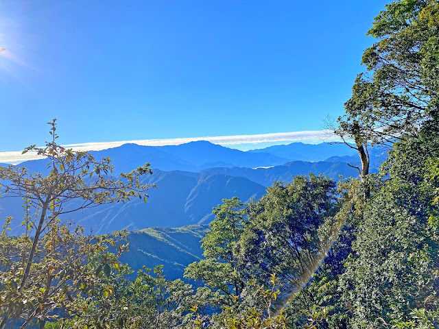 往關刀山西峰--林道展望