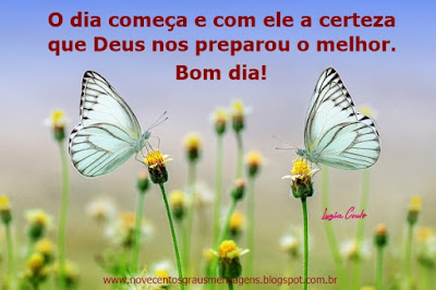 mensagem +facebook+escritora+luzia+couto