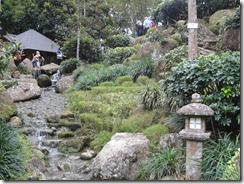 DSC05825
