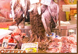 seville market bunnies
