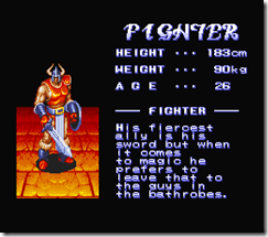 King of Dragons, fighter
