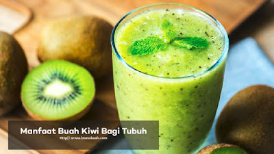 Manfaat dan Khasiat Buah Kiwi Bagi Kesehatan Tubuh