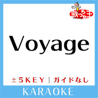 Voyage