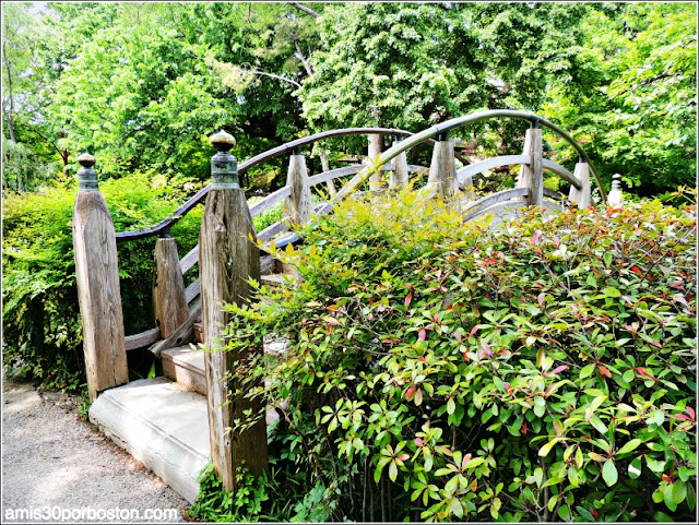 Moon Bridge del Fort Worth Japanese Garden