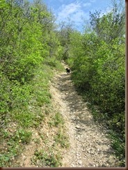 sentier_5560